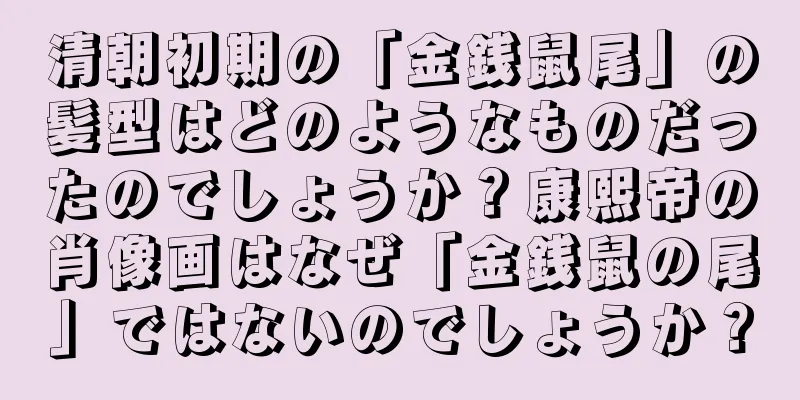 清朝初期の「金銭鼠尾」の髪型はどのようなものだったのでしょうか？康熙帝の肖像画はなぜ「金銭鼠の尾」ではないのでしょうか？