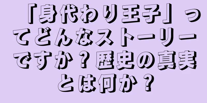 「身代わり王子」ってどんなストーリーですか？歴史の真実とは何か？