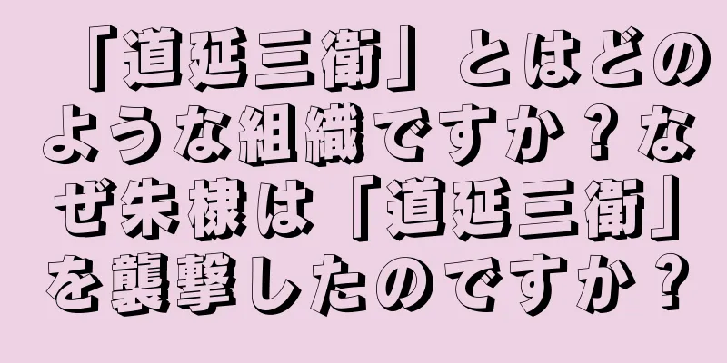 「道延三衛」とはどのような組織ですか？なぜ朱棣は「道延三衛」を襲撃したのですか？