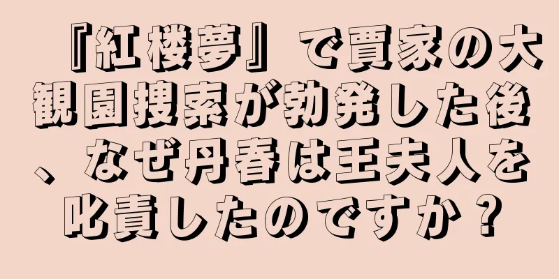 『紅楼夢』で賈家の大観園捜索が勃発した後、なぜ丹春は王夫人を叱責したのですか？