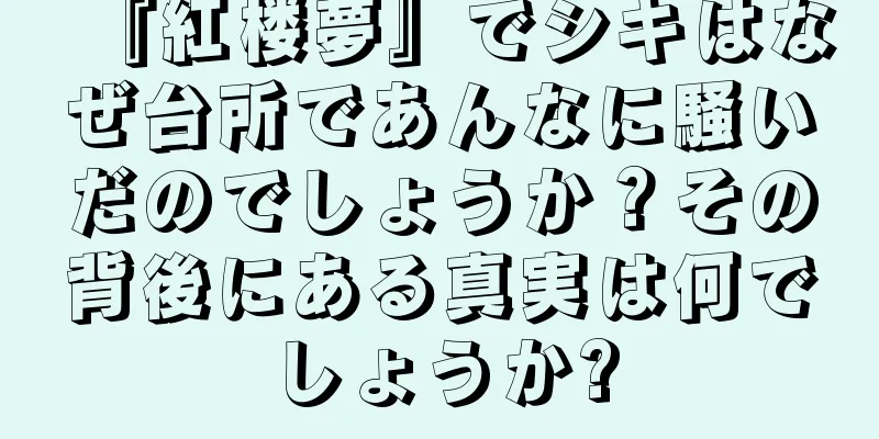『紅楼夢』でシキはなぜ台所であんなに騒いだのでしょうか？その背後にある真実は何でしょうか?