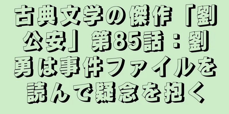 古典文学の傑作「劉公安」第85話：劉勇は事件ファイルを読んで疑念を抱く