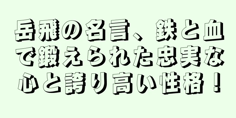 岳飛の名言、鉄と血で鍛えられた忠実な心と誇り高い性格！