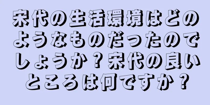 宋代の生活環境はどのようなものだったのでしょうか？宋代の良いところは何ですか？