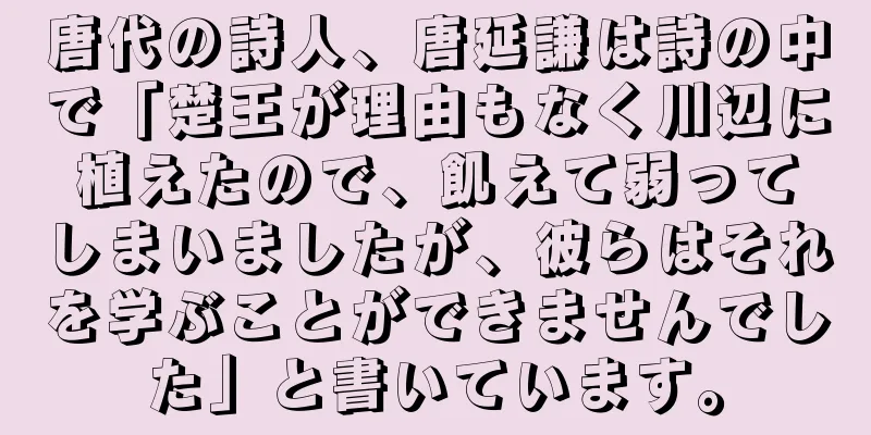 唐代の詩人、唐延謙は詩の中で「楚王が理由もなく川辺に植えたので、飢えて弱ってしまいましたが、彼らはそれを学ぶことができませんでした」と書いています。