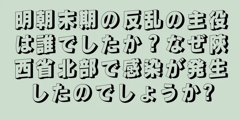 明朝末期の反乱の主役は誰でしたか？なぜ陝西省北部で感染が発生したのでしょうか?