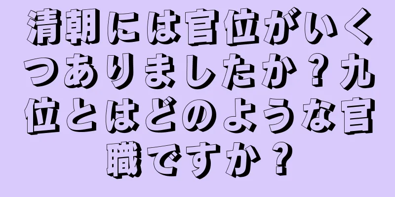 清朝には官位がいくつありましたか？九位とはどのような官職ですか？