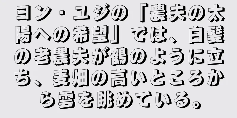 ヨン・ユジの「農夫の太陽への希望」では、白髪の老農夫が鶴のように立ち、麦畑の高いところから雲を眺めている。