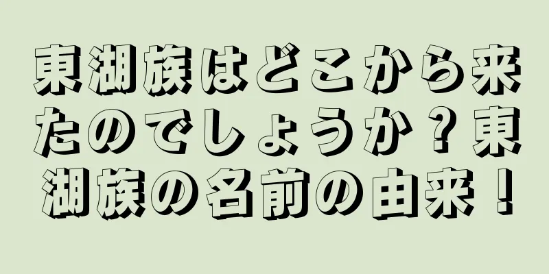 東湖族はどこから来たのでしょうか？東湖族の名前の由来！