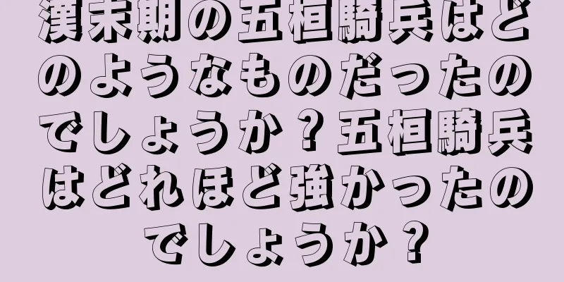 漢末期の五桓騎兵はどのようなものだったのでしょうか？五桓騎兵はどれほど強かったのでしょうか？