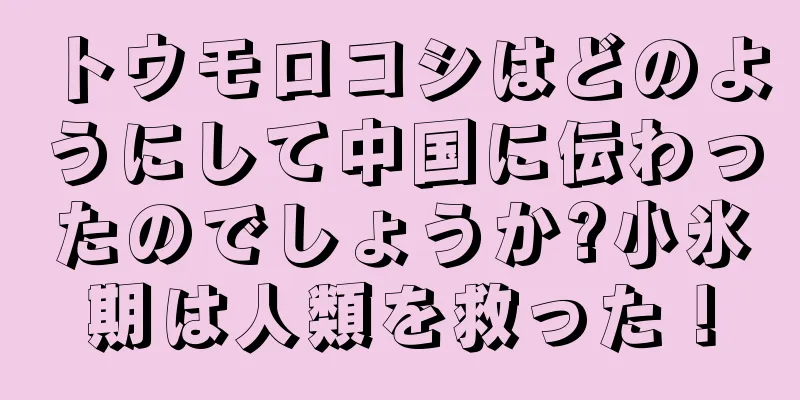 トウモロコシはどのようにして中国に伝わったのでしょうか?小氷期は人類を救った！