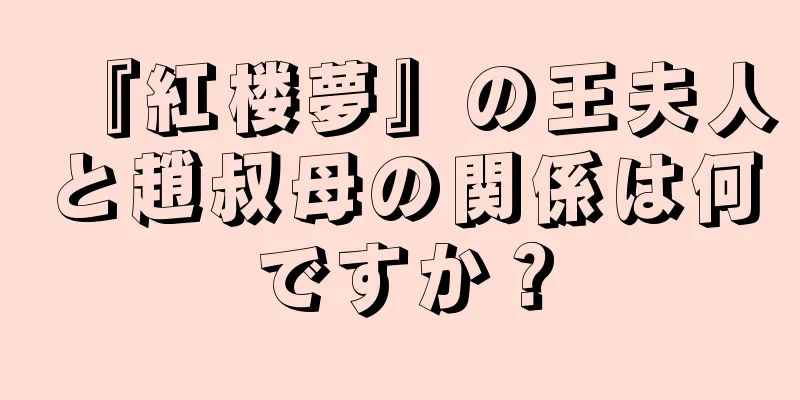 『紅楼夢』の王夫人と趙叔母の関係は何ですか？
