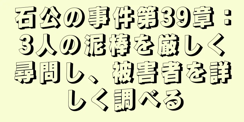 石公の事件第39章：3人の泥棒を厳しく尋問し、被害者を詳しく調べる