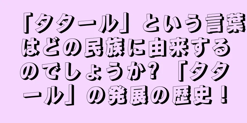 「タタール」という言葉はどの民族に由来するのでしょうか? 「タタール」の発展の歴史！