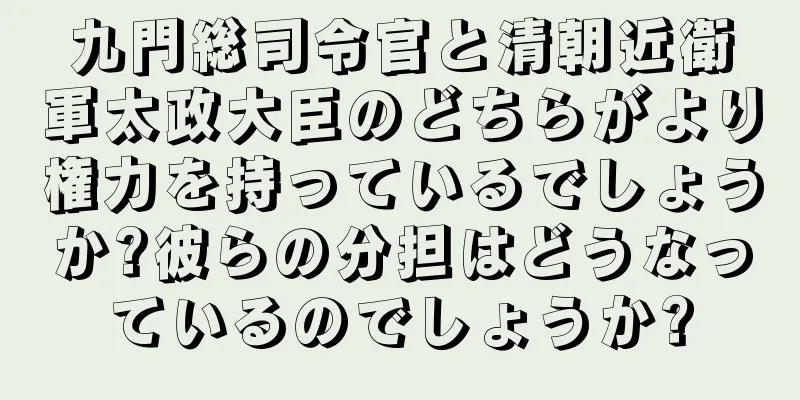 九門総司令官と清朝近衛軍太政大臣のどちらがより権力を持っているでしょうか?彼らの分担はどうなっているのでしょうか?
