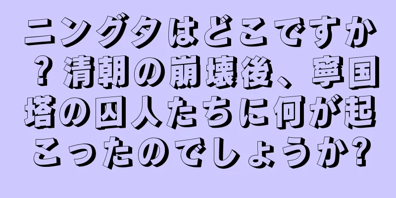 ニングタはどこですか？清朝の崩壊後、寧国塔の囚人たちに何が起こったのでしょうか?