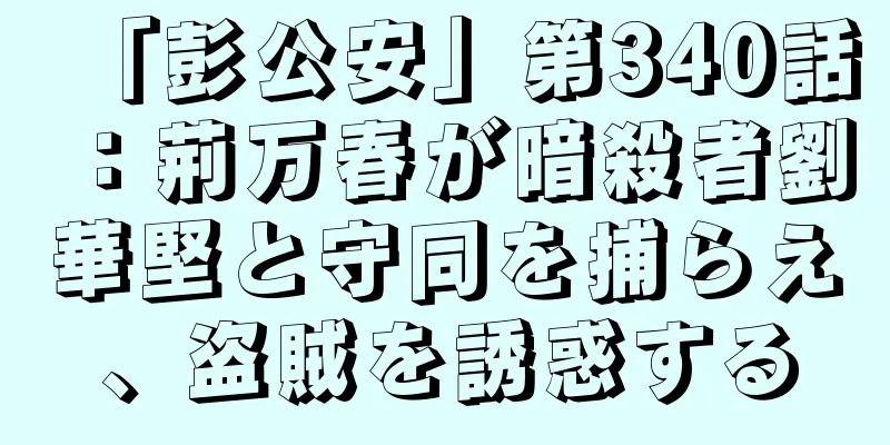 「彭公安」第340話：荊万春が暗殺者劉華堅と守同を捕らえ、盗賊を誘惑する