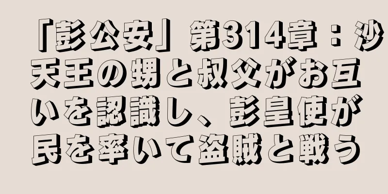 「彭公安」第314章：沙天王の甥と叔父がお互いを認識し、彭皇使が民を率いて盗賊と戦う
