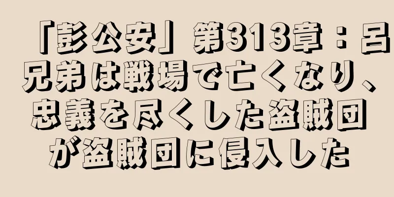 「彭公安」第313章：呂兄弟は戦場で亡くなり、忠義を尽くした盗賊団が盗賊団に侵入した