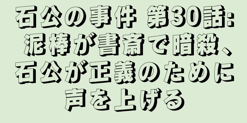 石公の事件 第30話: 泥棒が書斎で暗殺、石公が正義のために声を上げる