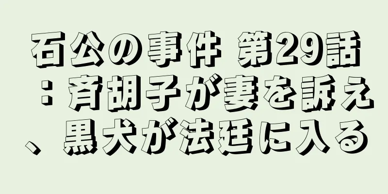 石公の事件 第29話：斉胡子が妻を訴え、黒犬が法廷に入る