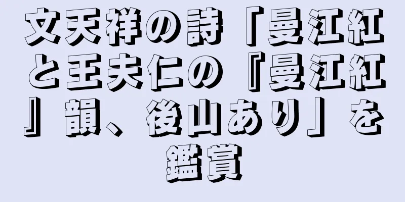 文天祥の詩「曼江紅と王夫仁の『曼江紅』韻、後山あり」を鑑賞