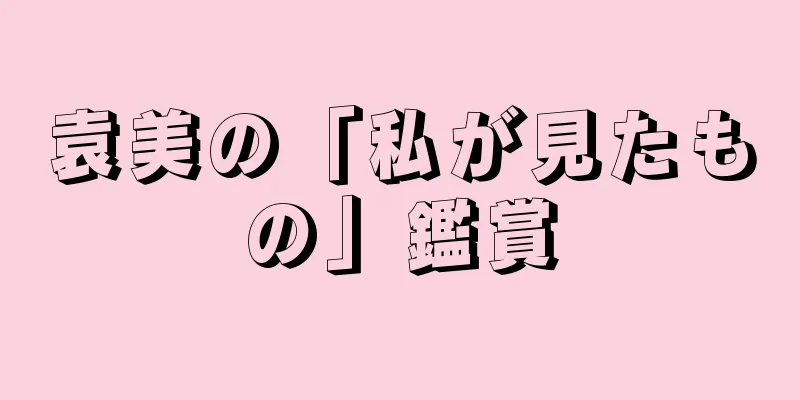袁美の「私が見たもの」鑑賞