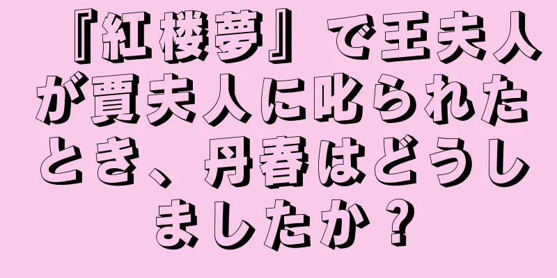 『紅楼夢』で王夫人が賈夫人に叱られたとき、丹春はどうしましたか？