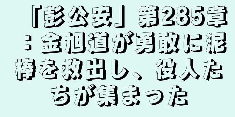 「彭公安」第285章：金旭道が勇敢に泥棒を救出し、役人たちが集まった