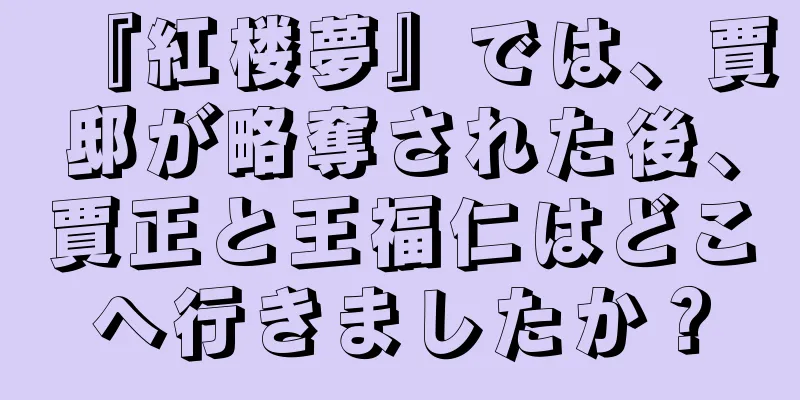 『紅楼夢』では、賈邸が略奪された後、賈正と王福仁はどこへ行きましたか？