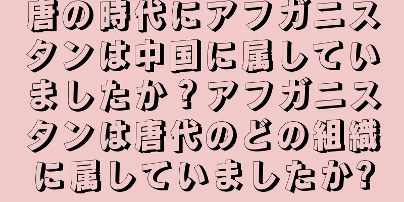 唐の時代にアフガニスタンは中国に属していましたか？アフガニスタンは唐代のどの組織に属していましたか?