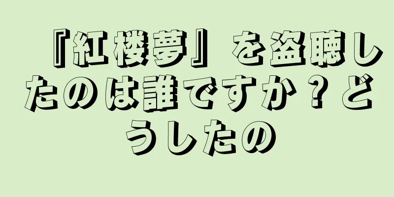 『紅楼夢』を盗聴したのは誰ですか？どうしたの