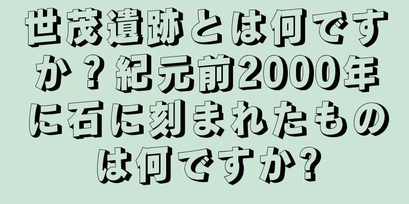 世茂遺跡とは何ですか？紀元前2000年に石に刻まれたものは何ですか?