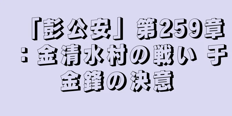 「彭公安」第259章：金清水村の戦い 于金鋒の決意