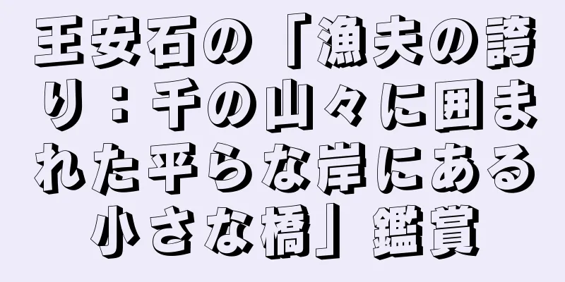 王安石の「漁夫の誇り：千の山々に囲まれた平らな岸にある小さな橋」鑑賞