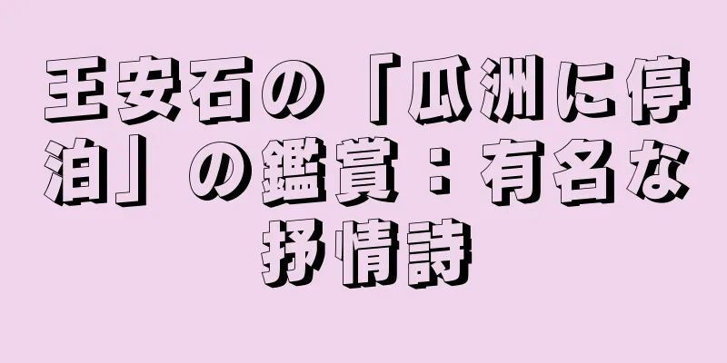 王安石の「瓜洲に停泊」の鑑賞：有名な抒情詩