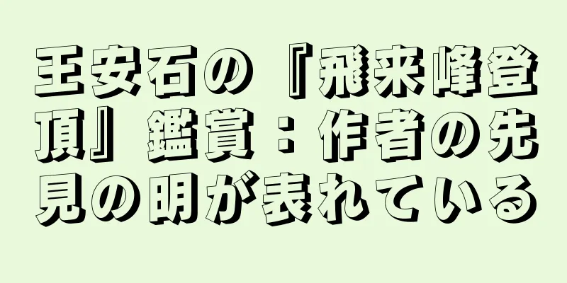 王安石の『飛来峰登頂』鑑賞：作者の先見の明が表れている