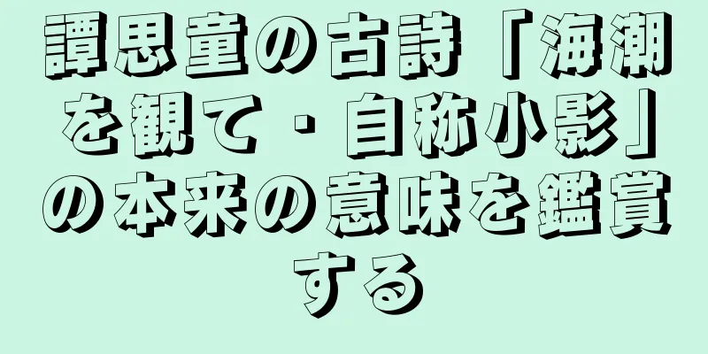 譚思童の古詩「海潮を観て・自称小影」の本来の意味を鑑賞する