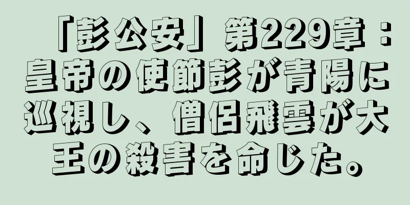 「彭公安」第229章：皇帝の使節彭が青陽に巡視し、僧侶飛雲が大王の殺害を命じた。