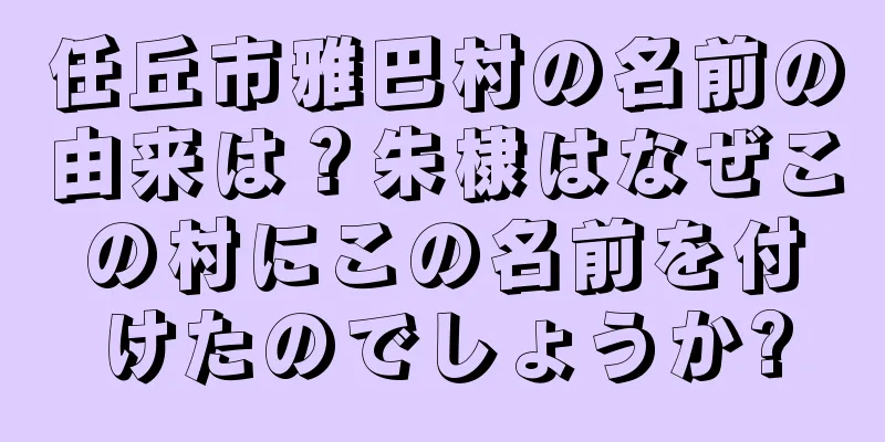 任丘市雅巴村の名前の由来は？朱棣はなぜこの村にこの名前を付けたのでしょうか?