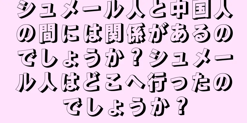 シュメール人と中国人の間には関係があるのでしょうか？シュメール人はどこへ行ったのでしょうか？
