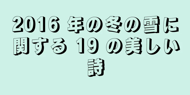 2016 年の冬の雪に関する 19 の美しい詩
