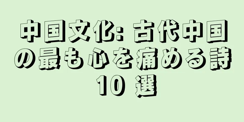 中国文化: 古代中国の最も心を痛める詩 10 選