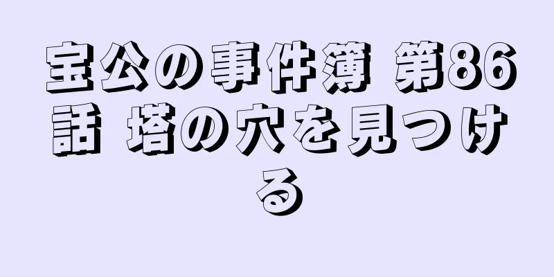 宝公の事件簿 第86話 塔の穴を見つける