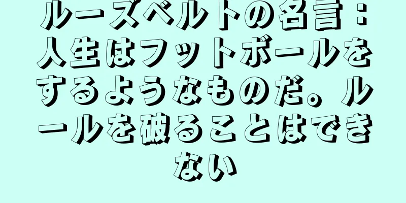 ルーズベルトの名言：人生はフットボールをするようなものだ。ルールを破ることはできない