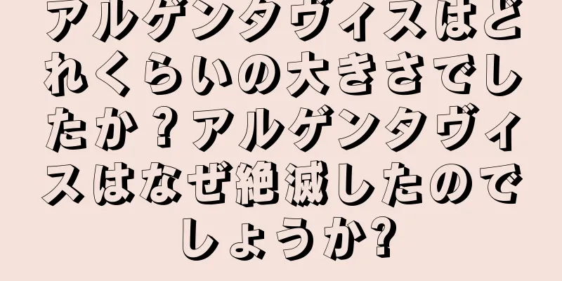 アルゲンタヴィスはどれくらいの大きさでしたか？アルゲンタヴィスはなぜ絶滅したのでしょうか?