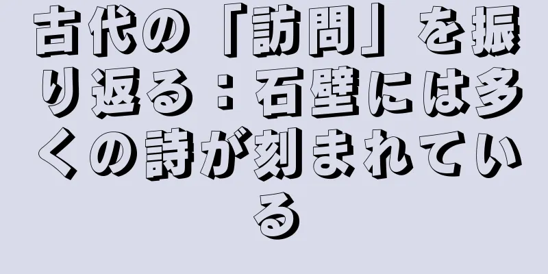 古代の「訪問」を振り返る：石壁には多くの詩が刻まれている