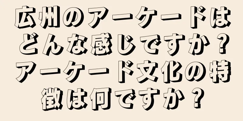 広州のアーケードはどんな感じですか？アーケード文化の特徴は何ですか？