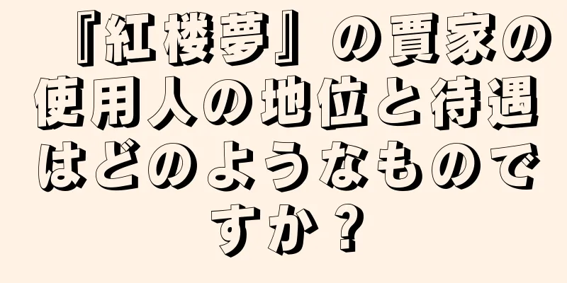 『紅楼夢』の賈家の使用人の地位と待遇はどのようなものですか？