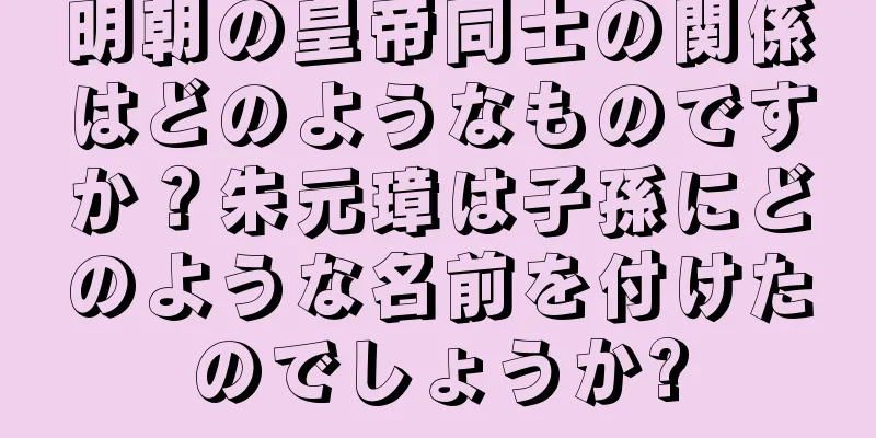 明朝の皇帝同士の関係はどのようなものですか？朱元璋は子孫にどのような名前を付けたのでしょうか?